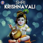 Shri Krishnavali - Nachiket Lele Song Download